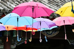 Umbrellas 